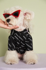 เสื้อเชิ้ตสตรีท ลายตักอักษร เสื้อหมา Street Fashion | ClawsetBKK