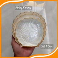 Shell Plate Set of 3 Unique Serving Plates Shell Plate Fan Shell Plate