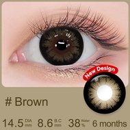 Magister Contact Lens Brown /Black Colored Lens Big Eye 14.5mm / 16mm Lens 6 Months Use 2Pcs Make up