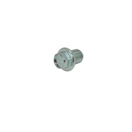 AHM ALL MATIC LOWER OIL BOLT | 90131-883-000