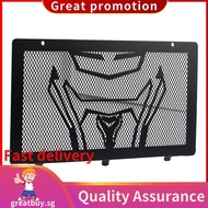 Motorcycle Radiator for  250CLX Motorcycle Accessories .greatbuysg