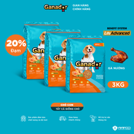 Combo 3 x Thức ăn hạt Ganador cho chó vị Gà nướng 3kg