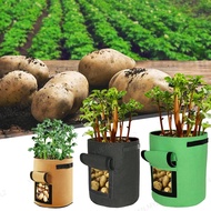 5/7/10 Gallon Felt Potato Planting Bag Fabric Plant Nursery Pot Grow Bags Garden Vegetable Tomato Gr