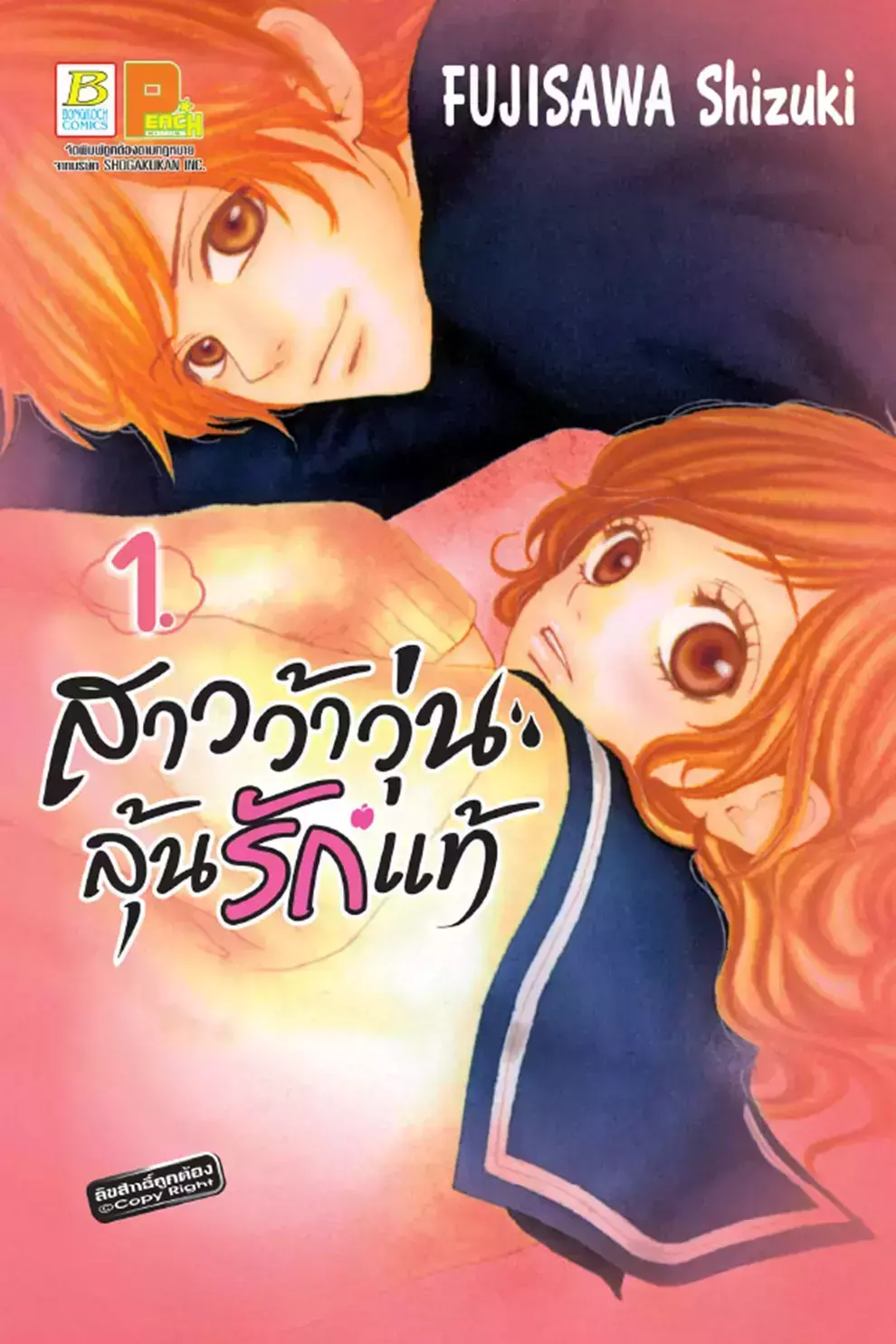 การ์ตูน สาวว้าวุ่น ลุ้นรักแท้ 1 (PDF)