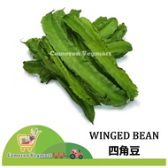 Winged Bean（Four Angle Bean) / Kacang Botol / 四角豆 <Fresh Vegetable from Cameron Highland / Sayur Seg