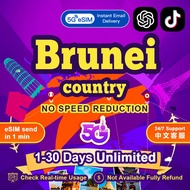 Brunei eSIM 4G High Speed 3-30 Days 3GB-15GB Unlimited Data DST eSIM
