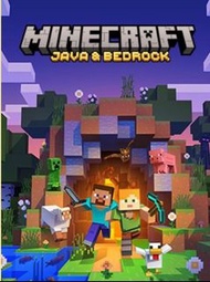 Minecraft Java+Bedrock account