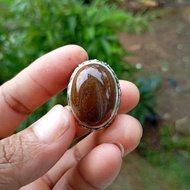 Natural badar Lumut ring