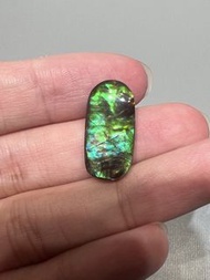 加拿大雙面龍珠斑彩