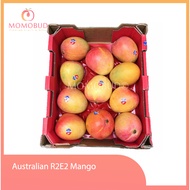 Premium R2E2 Mango Box (8-12pcs)