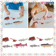 [Wunit] Life Cycle of Salmon Toys Animal Growth Cycle Set for Daycare Presentations