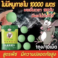 🐭10000กิโลเมตรโดยไม่มีหนู🐭 HTL ยาไล่หนู ไล่หนูในบ้าน ไล่หนู เจลไล่หนู ลูกเหม็นไล่หนู 10เม็ด ลูกเดียวป้องกันได้10ป ยากำจัดหนูบ้าน ไม่เป