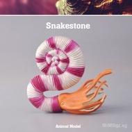 Tongde U-shaped Ammonite Model Simulates Ancient Marine Molluscs Toy Ammonite Children's Educational