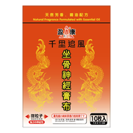 盈康 - 盈康（塔牌）日本東京 - 坐骨神經膏布7.5X11CM (10片裝)