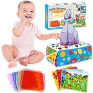 Aiduy Baby Toys 6 to 12 Months - Baby Tissue Box Toys Montessori Toys for Babies 6-12 Months Soft Cr