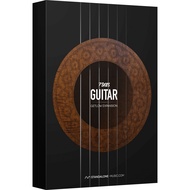 Standalone-Music Guitar Getlow Expansion KONTAKT [download]