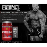 BSN Amino X (Amino+BCAA+MUSCLE+STAMINA+RECOVERY) 30servings