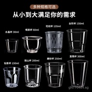 Disposable Cups Hard Plastic Space Cups Thickened Aviation Cups Hard Cups Tea Cups Wholesale Box Thi