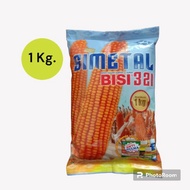 benih jagung simetal bisi 321