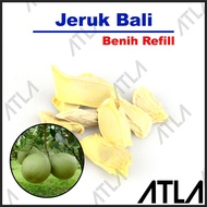 Benih Jeruk Bali Biji Buah Pamelo Bibit Tanaman Pohon Refill