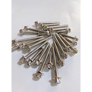 Salaya 304 stainless steel engine block screw set for Dream, Wave, Sirius, Ex150, Satria, Vision, Va