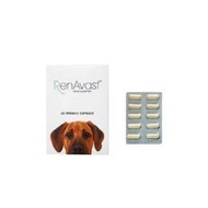 Renaissance for dog Protein Supplement Dogs Age 1 Year And Up 60 Capsules