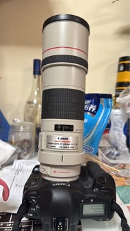 Canon EF 300mm f/4L IS USM 鏡頭