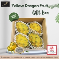 SLH Yellow Dragon Fruit Gift Box (Box of 4 pcs & 9pcs)