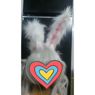 White bunny ears, bunny tail ears