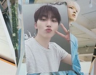 Seventeen 橙kit boo