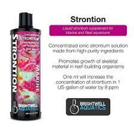 Brightwell Strontion 250ml / 500ml (Concentrated Strontium Supplement for All Marine Fish & Reef Aqu
