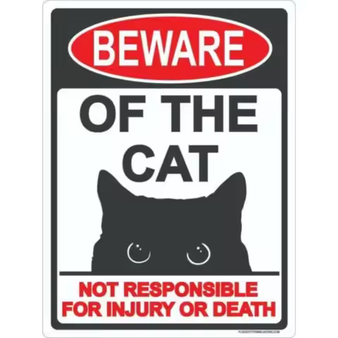 Beware of Cat Aluminum Metal Sign Plaque Durable Warning Sign for Outdoor or Indoor Use Adds Quirky 