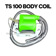 TS100 TS 100 BRAND JEC BODY IGNITION COIL BODY COIL COIL PLUG PLUG COIL