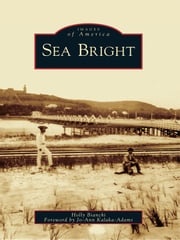 Sea Bright Holly Bianchi