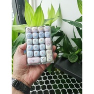Walking Cat DK21 Mechanical Keyboard rgb Lighting Three-Mode Wireless Office Financial Number Key Sm