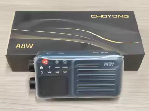 Choyong A8W Portable Internet Radio Single Band Voice Control 4G WiFi Connection Speaker Custom Gift