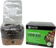 Myco Labs All in One Mushroom Grow Kit in a Bag with Sterilized Grains and Substrate (4 LBS)
