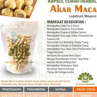 Akar MACA 100 kapsul curah herbal stamina libido kesuburan hormon pria