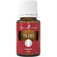 Tea tree young living 茶樹精油