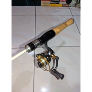 Oregon hampili and iroly exotic 500