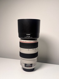 Canon EF 70-300mm f/4-5.6L IS USM Lens with Hood