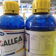 OBAT UNTUK KUMBANG TANDUK GALLEA 300 EC