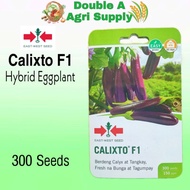 Calixto F1 Hybrid Eggplant 300 Seeds Pack - East West Seed