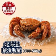 北海道鮮活毛蟹 (400-500g) (日本新鮮空運到港) (透氣盒裝) - 1盒