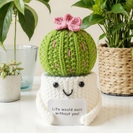 1PC Crochet Cactus Potting Grow Handmade Crochet Flower Doll With Card Crochet Plant Office Decor Me