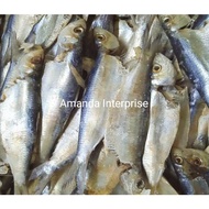 (200Gram) Ikan Masin Tamban / Ikan Kering Tamban / Ikan Tamban Sisik