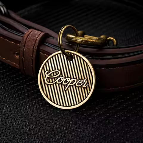 Personalized Brass Pet ID Tag, Engraved Dog Cat Tag, 30mm Dog Name Label, Custom Dog Tag for Collar,