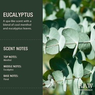 Eucalyptus Fragrance Oil