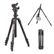 TRIOPO K268 Portable Photography Tripod Stand Aluminum Alloy 360°Panorama Ball Head 162cm/63.8in Max