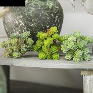 AUBREY1 Mini Artificial Cactus Plant, Plastic 24 Heads Artificial Succulent Plant, Simulation Cactus